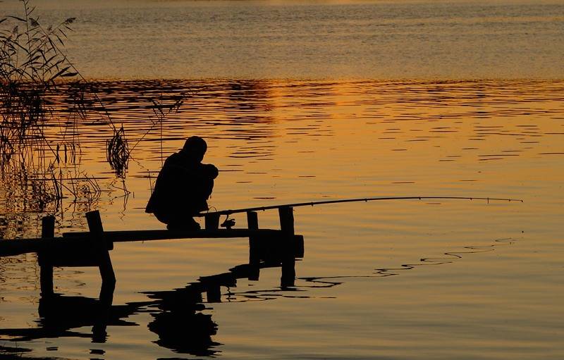 Рыбалка на озере в усадьбе Ёлочки holiday